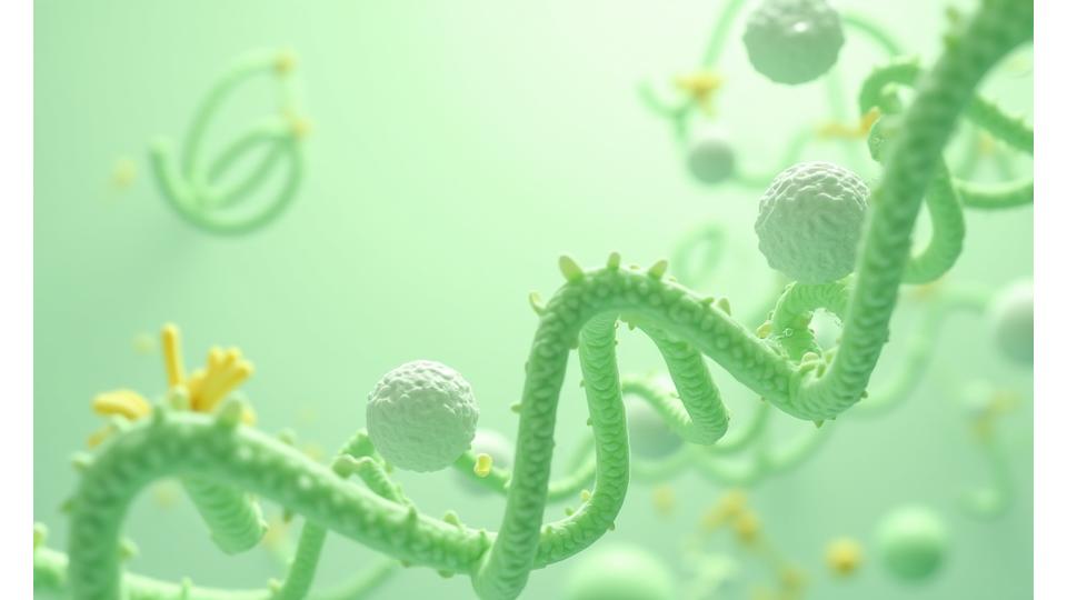 An abstract illustration combining elements of DNA strands, interlocking cells, and natural plant forms. Colors from the brand palette, emphasizing health, growth, and scientific precision.